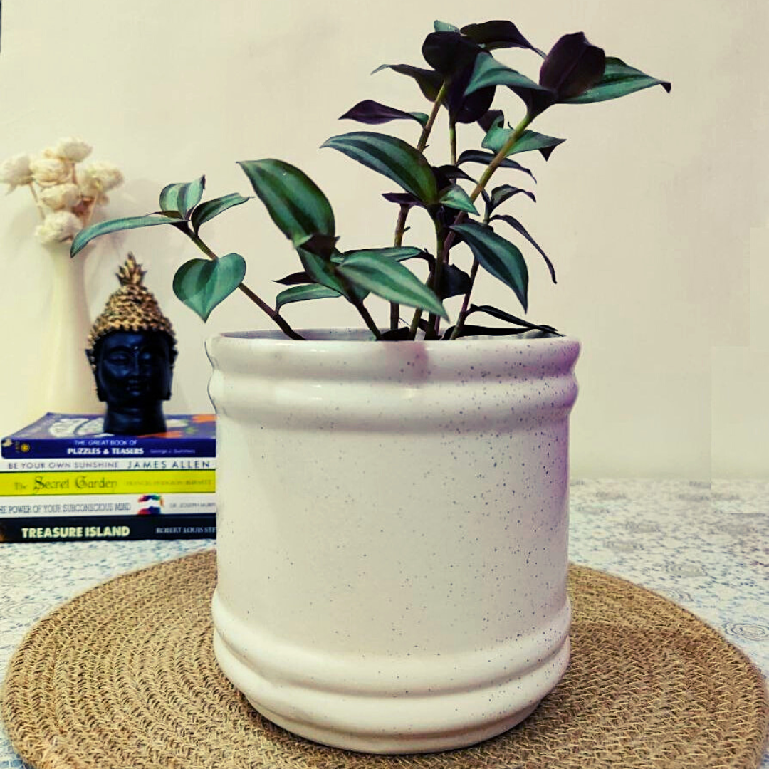 Stylish Glossy Barrel shaped and White in Color Ceramic planter Pot for decorating your Indoor & Outdoor Home, Garden, Office Decoration, Balcony Planters Pot. Gamla Size- 16*16 cm 